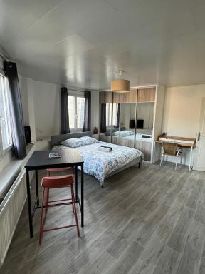 Le Stud' Joli appartement lumineux en plein centre ville - Housity