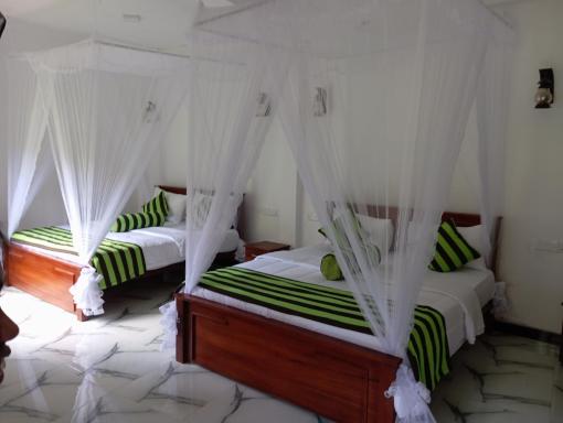 Forest Paddy Homestay - Housity