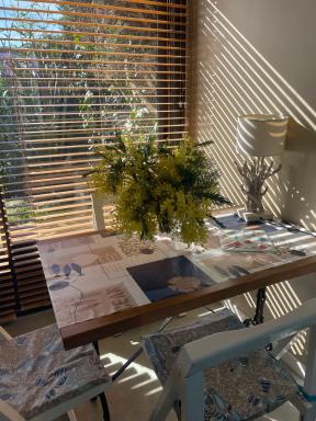 LES MIMOSAS - Housity