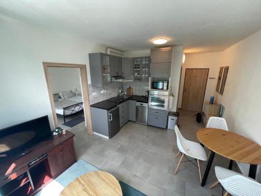 NOVÝ HORSKÝ APARTMÁN v Jizerských horách - Housity