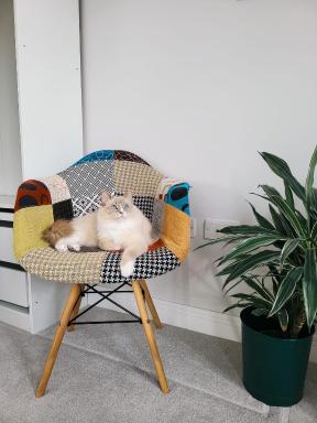 Private room in townhouse near Heathrow & Windsor - Housity