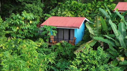 Villas In Sueño Private Jungle Hotel - Housity