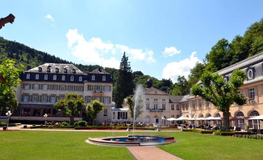 Parkhotel Bad Bertrich - Housity