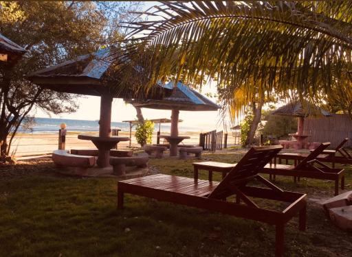 D's Oceanview Beach Resort - Housity