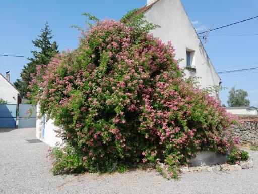 Gite de Marcureau - Housity