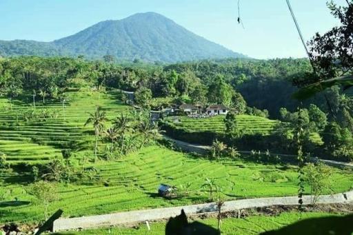 Suweden Homestay - Housity