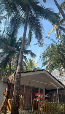 Taste of Nature - Housity