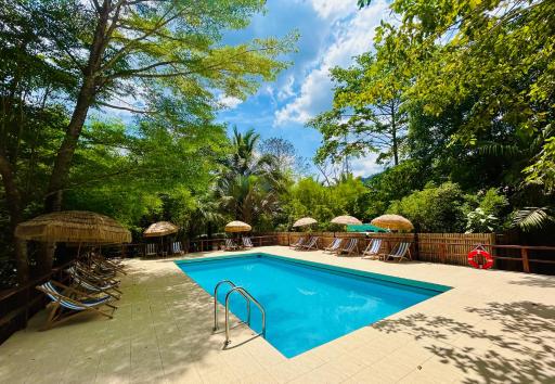 Khao Sok Paradise Resort - Housity