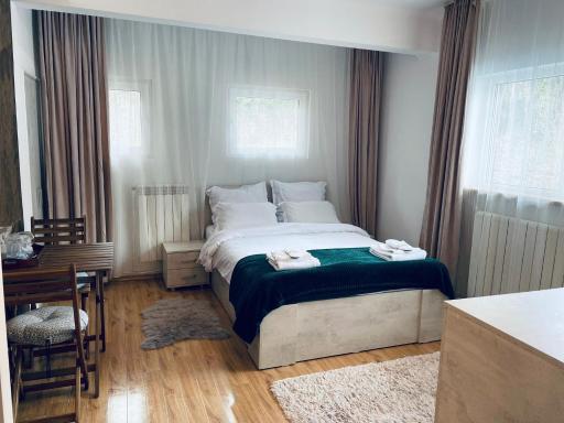 Studio Poema Ultracentral Sinaia - Housity