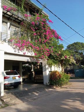 Kelaniya Heritage - Housity