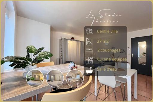 Le studio Théolier DOWNTOWN - close to pedestrian street - Housity