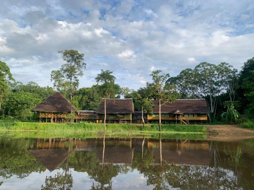Ayahuasca Eco Tours - Housity