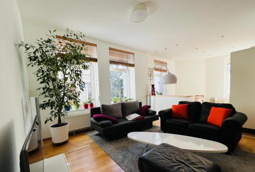 Großes und helles Innenstadt Apartment - Ferienwohnung - Housity