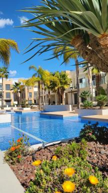 Apartamento Los Amigos, La Zenia Boulevard area, 2 bedrooms, beautiful swimming pool. - Housity