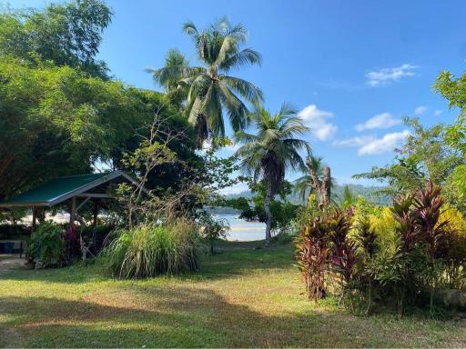 Port Barton - Paradiso Azul Campsite Beachfront with Internet - Housity