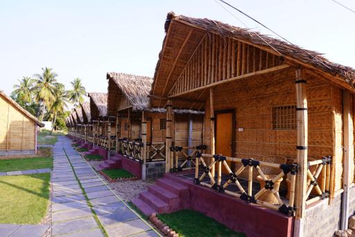 Hampi Crzy Panda - Housity