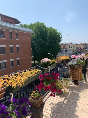 Quadrilocale, Novara Centro - Hizvo
