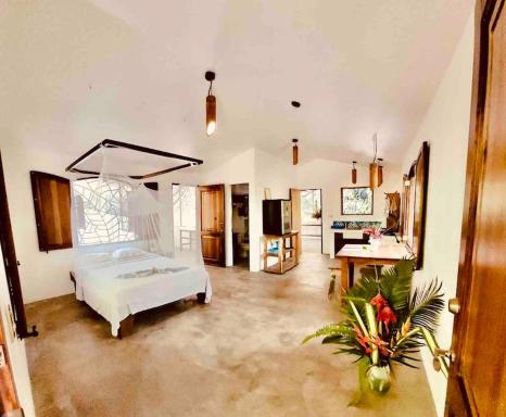 House 400 meters from the Golfo Dulce beach - Housity