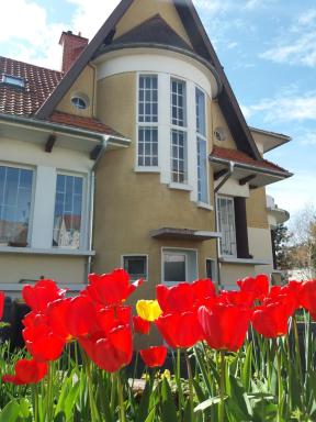 Villa Zouzou Bed and Breakfast - Housity