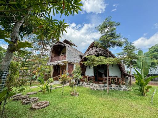 Sumatra Orangutan Treks Villa & Eco jungle trekking activity - Housity
