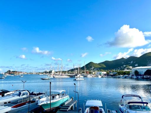 Luxury Simpson bay condo - Housity
