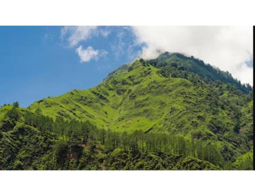 Hotel Dabral, Pipalkoti - Housity
