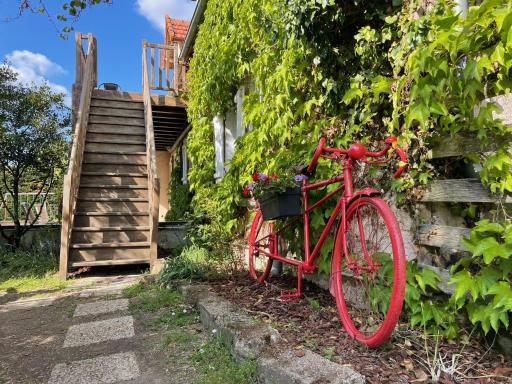 Gites des Trois Provinces, Zoo de Beauval - Housity