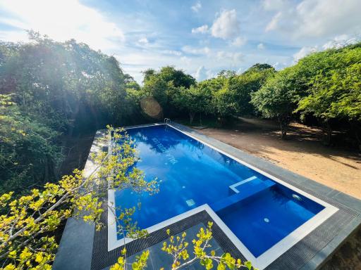 Yala Hotel Lion - Housity