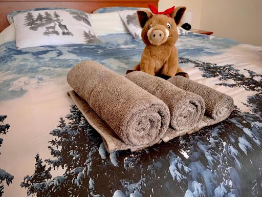 Apartment Jasna - Housity