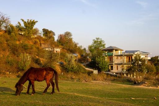 Shepherds Of Dharamshala - Housity