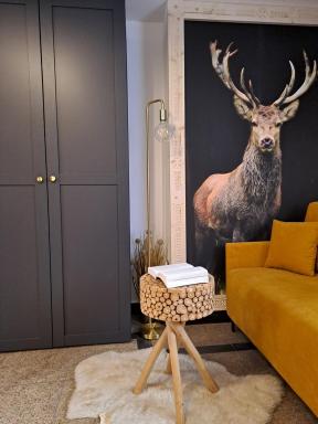 Apartamenty U Paliderki - Housity