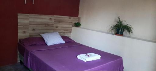 Casa Zoila Hospedaje - Housity