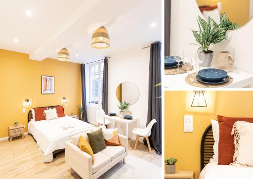 Luz - Appartement hyper centre Saint-Etienne - Housity