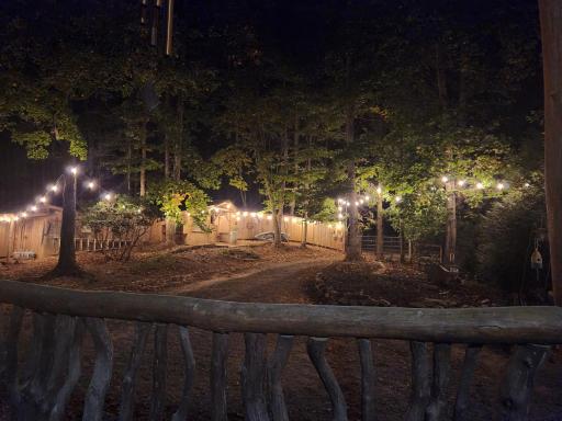 Dragonfly Glade - Housity
