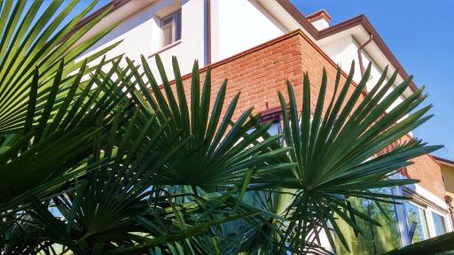 Dream - Housity