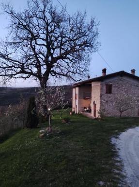 B&B del Fernè - Housity