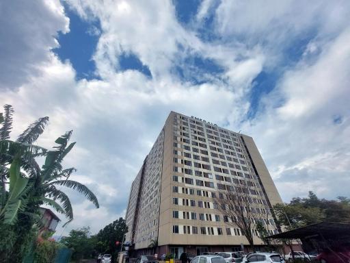 Emerald Apartel - Hizvo