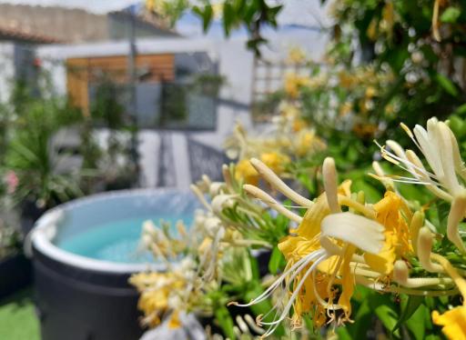 Le Petit Patio - Housity