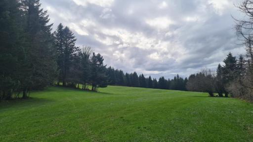le refuge de l'écureuil - Housity