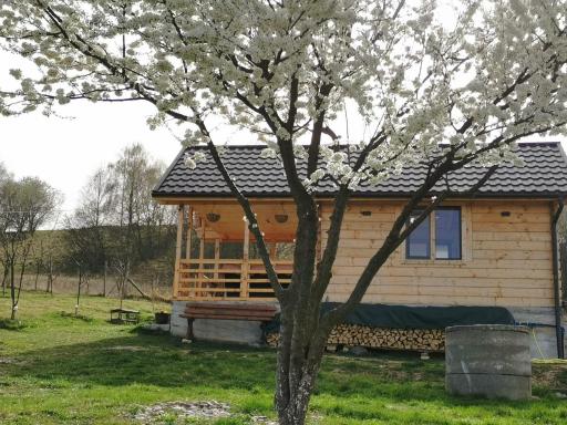 Stefana's Tiny House Nature Retreat - Housity