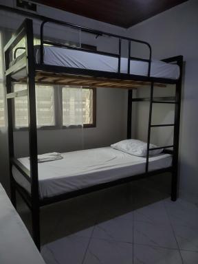 The Nest Haven Hostel - Housity