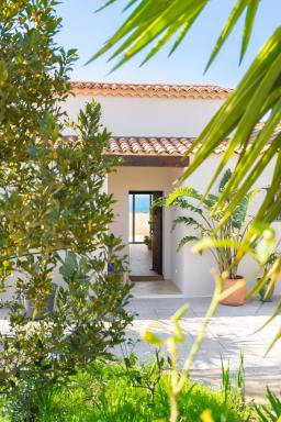 Les Cactus Bleus - Housity