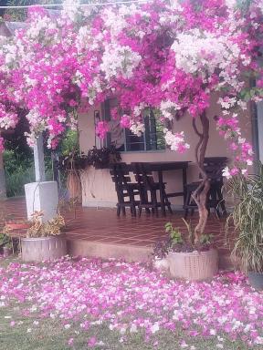 Cabaña Ecoturismo Los Mangos - Housity