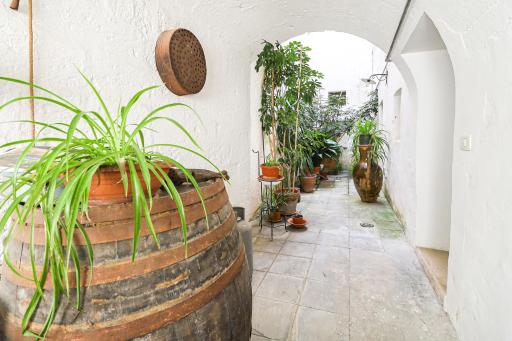 Luna e Basilico by Casa di Marco - Housity