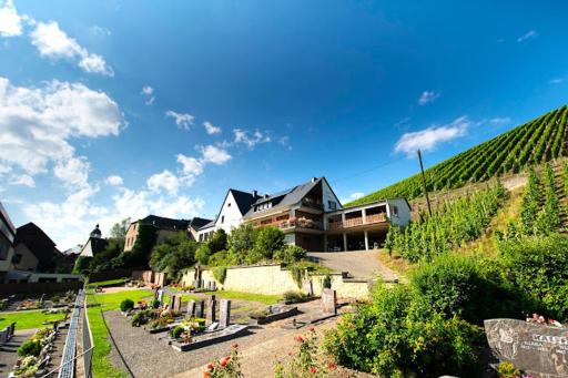 Chateau-de-la-Moselle - Housity