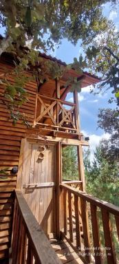Cabaña en el Bosque de San José del Pacífico 3 - Housity
