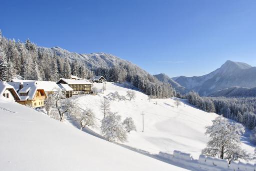Bed&Breakfast Lausegger - Housity