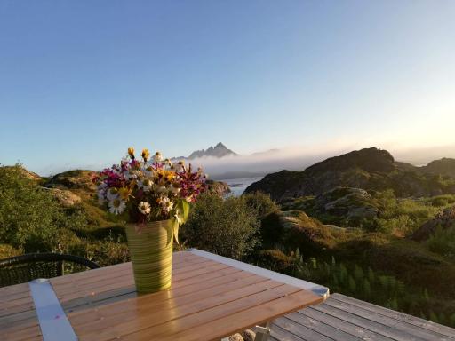 Unique private cabin in Lofoten - Housity