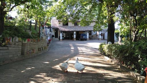 Civettina - Housity