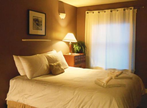 Painted Turtle Guesthouse - Housity